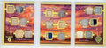 2026 Leaf Seasons In The Sun Cloud 9 Relic Triple Booklet 1/1